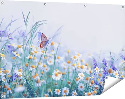 Gards Tuinposter Witte Kamille Bloemen met een Vlinder - 120x80 cm - Tuindoek - Tuindecoratie - Wanddecoratie buiten - Tuinschilderij