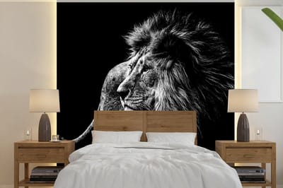 Behang - Fotobehang Dieren - Wild - Leeuw - Zwart - Wit - Breedte 350 cm x hoogte 350 cm