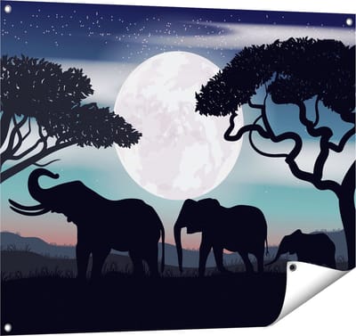 Gards Tuinposter Olifanten Silhouet tijdens Volle Maan - 100x80 cm - Tuindoek - Tuindecoratie - Wanddecoratie buiten - Tuinschilderij