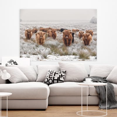 Schilderij Woonkamer - Schotse Hooglanders - Highlanders - 75 x 100 cm - PosterGuru