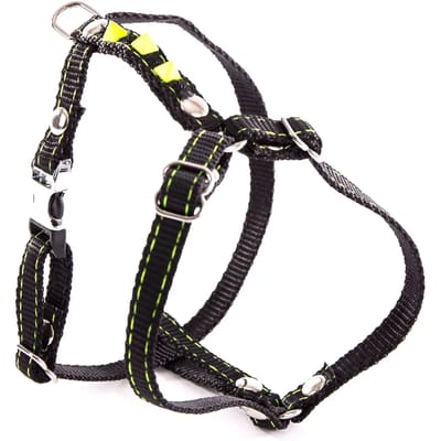Fluo Harnas voor Hond Martin Sellier
