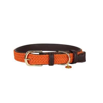 Kentucky Dogwear - Hondenhalsband - Gevlochten Nylon Hondenriem - Oranje - Maat L (62cm)