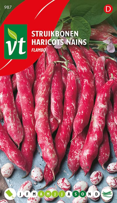 Bonen Flambo - Crèmekleurige peulen met grote roodgevlekte zaden