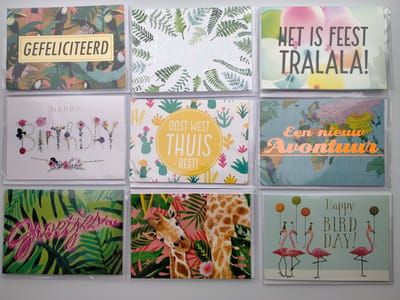 Hallmark - wenskaarten - every day - assorti - 5x