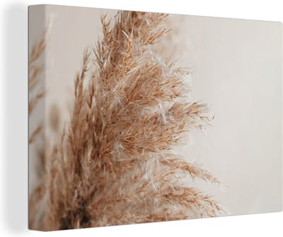 Canvas Schilderij Gras - Planten - Natuur - Pampasgras - 30x20 cm - Wanddecoratie