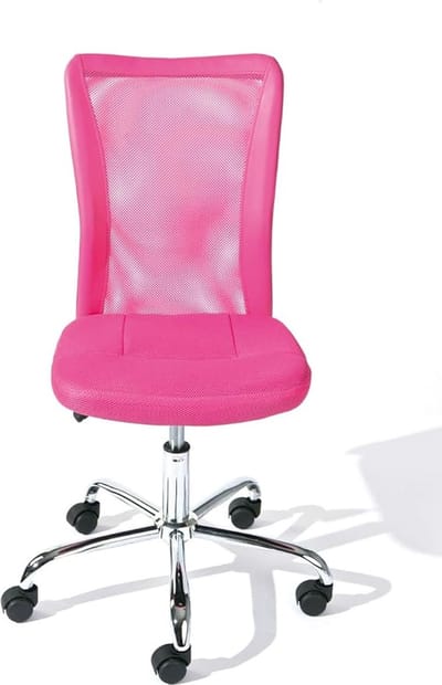 Ergonomische bureaustoel - bureaustoel met hoge rugleuning, verstelbare lendensteun,43D x 56W x 88H centimetres