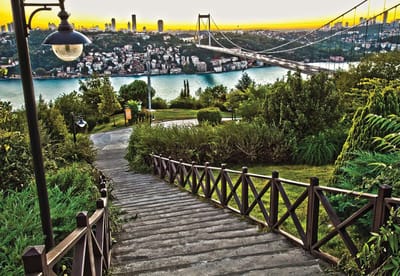 Fotobehang Wooden Path | XL - 208cm x 146cm | 130g/m2 Vlies