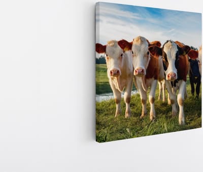 Saammp Canvas Schilderij - Koeien portret - Natuur - Dieren - 20x20 - Foto op canvas - Wanddecoratie - Muurdecoratie Woonkamer - Slaapkamer decoratie - Canvas Print