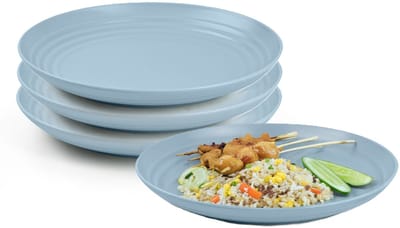 Plasticforte Rond bord/camping bord - 4x - D20 cm - ijsblauw - kunststof - onbreekbaar - servies