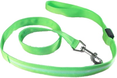 CHPN - Verlichte hondenriem - Hondenriem met LED verlichting - Groen - 120CM - Werkt op Batterijen - Lichtgevens riem voor de hond - Veilig je hond uitlaten in het donker
