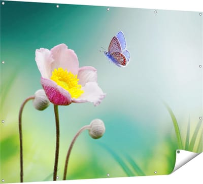 Gards Tuinposter Roze Anemoon Bloem met een Blauwe Vlinder - 160x120 cm - Tuindoek - Tuindecoratie - Wanddecoratie buiten - Tuinschilderij