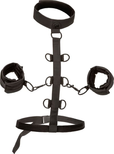 Boundless Collar Restraint