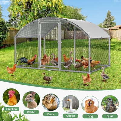 Kippenhok met Boogvormig Design en Zonnedak,3 x 2 x 2m