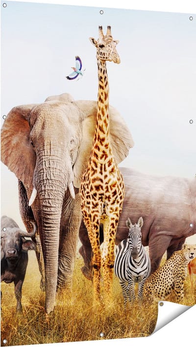 Gards Tuinposter Afrikaanse Dieren op het Gras - Afrika - 100x150 cm - Tuindoek - Tuindecoratie - Wanddecoratie buiten - Tuinschilderij