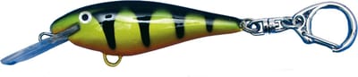 Vis Plug Sleutelhanger Beauty Baars Viscadeautje Keyring Cadeau Vissen Streetfishing Cadeau Visser
