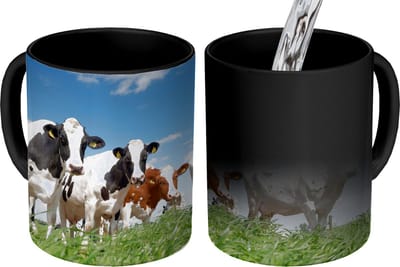 Magische Mok - Foto op Warmte Mokken - Koffiemok - Koeien - Platteland - Weiland - Natuur - Dieren - Magic Mok - Beker - 350 ML - Theemok