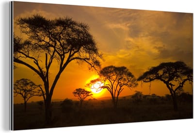 Wanddecoratie Metaal - Aluminium Schilderij Industrieel - Zonsondergang in de Serengeti - 40x20 cm - Dibond - Foto op aluminium - Industriële muurdecoratie - Voor de woonkamer/slaapkamer