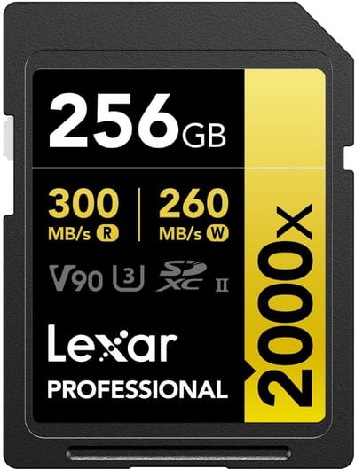 Professional 2000x SD Kaart 256GB voor Dailygoods en Videocamera's