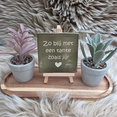 Robuust Wenstegeltje – Zo Blij met een Tante zoals Jij – 10x10 cm – Spreuktegel – Cadeau voor Tante – Trendy nu – Zomaar – Zwangerschap aankondiging – Decoratief Tegeltje met Standaard – Cadeau Idee