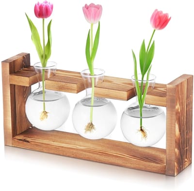 Dailygoods- Legplank met houten sokkel - Plantenterrarium - Hydrocultuur vaas - 3 stuks - Borosilicaatglas - Duurzaam en stevig