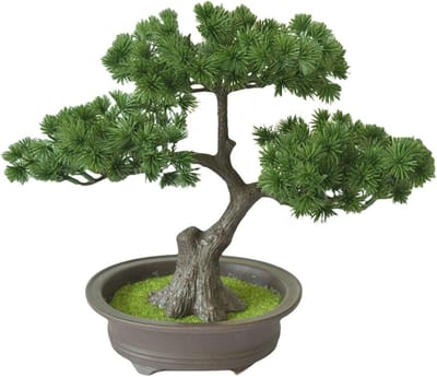 Kunstmatige Bonsaiboom - Nep Plant Decoratie - Bureau Verfraaien - Geen Onderhoud Nodig - 30x25 cm - Groen