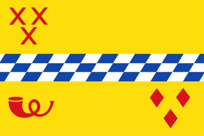 Vlag Woerden 80x120cm