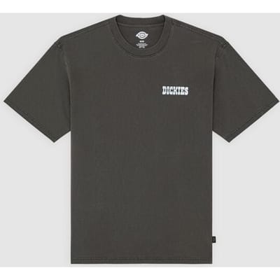 Dickies T-shirt - BUCHTELL TEE - S tot XL - voor Mannen - zwart