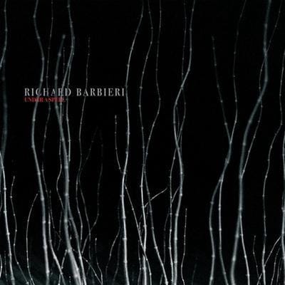Under A Spell - Richard Barbieri