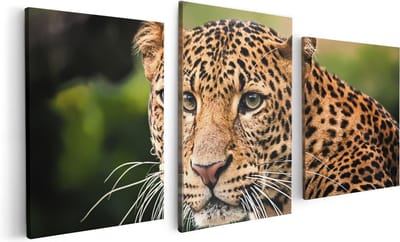 Artaza Canvas Schilderij Drieluik Luipaard Van Dichtbij - 120x60 - Foto Op Canvas - Canvas Print