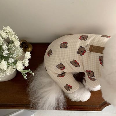 Huisdier Ruit Teddybeer Jas Vierpotig Herfst en Winter Hondenkleding Dik en Warm Teddybeer Kleine Hond Herfst en Winter XL