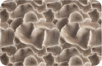 WC mat 60x40 cm - Antislip - Waaiervorm - Beige - Vezel textuur - Toiletmat - Vloermat - Douchemat - Toilet tapijt - Toiletmatten