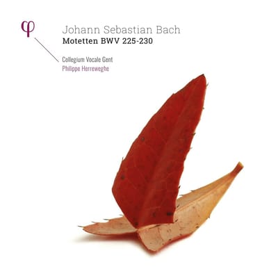 Collegium Vocale Gent, Philippe Herreweghe - Motetten BWV 225 - 230 (2 LP)