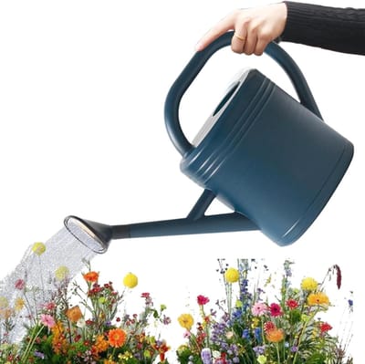 Gieter Kamerplanten - Waterkan - Planten Verzorgen - Afneembare Lange Tuit - 3 Liter - Blauw