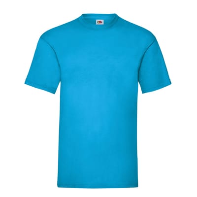 Fruit of the Loom Unisex Adult Waardevol T-Shirt (Azuurblauw)