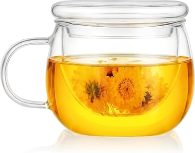 Doorzichtige borosilicaatglas theeglas met filter en deksel, 400 ml losse theemaker voor bloeiende thee en zakjes, perfect cadeau voor theeliefhebbers en speciale gelegenheden