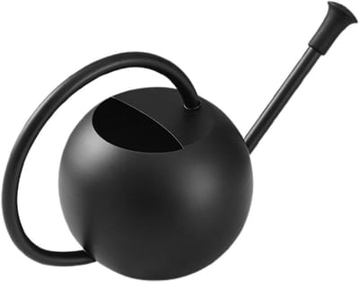 Gieter Roestvrij Staal - Waterkoker Planten - Precisiebewatering Kamerplanten - Slanke Gepolijste Afwerking - 400ML - Zwart
