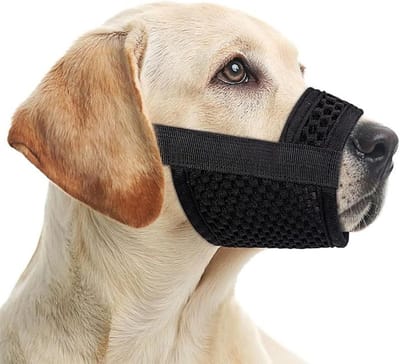 Dailygoods - Muilkorf voor honden, verstelbare lus, ademend, veilige, snelle pasvorm voor kleine, middelgrote honden, voorkomt bijten, kauwen en blaffen (M, zwart)