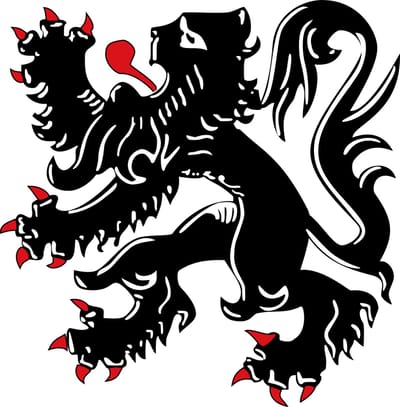 Vlag Binche 200x300cm
