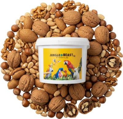 notenmix in schelp | papegaaien | papegaaienvoeding | grote papegaaien | papegaaien snack