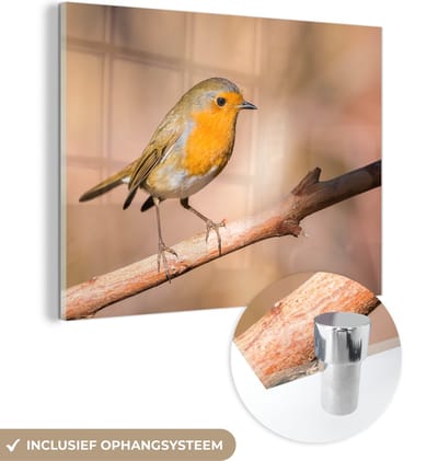MuchoWow® Glasschilderij 40x30 cm - Schilderij acrylglas - Vogel - Tak - Roodborstje - Foto op glas - Schilderijen