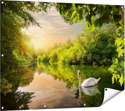Gards Tuinposter Zwaan op het Water in het Bos - 120x90 cm - Tuindoek - Tuindecoratie - Wanddecoratie buiten - Tuinschilderij