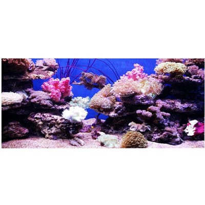 3D Effect Zelfklevend Koraal Zeewereld Poster voor Aquarium Vissen Decoratie 61 x 30cm