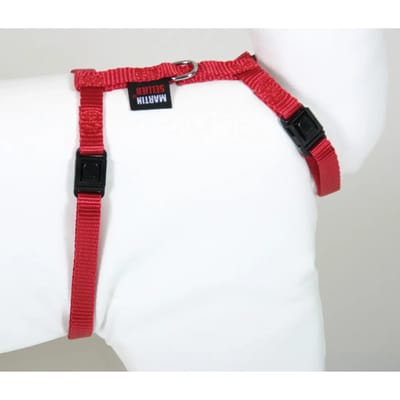 Verstelbare eenkleurige nylon kattenharnas Martin Sellier