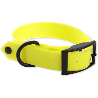 Fluo hondhalsband jacht Martin Sellier