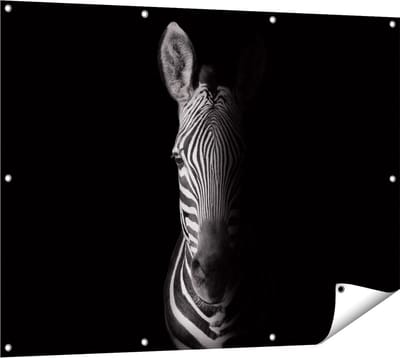 Gards Tuinposter Halve Zebra - Zwart Wit - 120x90 cm - Tuindoek - Tuindecoratie - Wanddecoratie buiten - Tuinschilderij