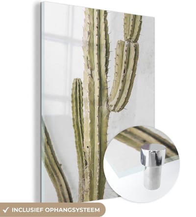 MuchoWow® Glasschilderij 120x160 cm - Schilderij acrylglas - Cactus - Zomer - Planten - Foto op glas - Schilderijen