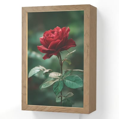 Wandlamp 20x30 cm - Oplaadbaar - Roos - Bladeren - Dieprood - Wandlampen binnen woonkamer - Slaapkamer lamp met kabel - Decoratieve nachtlamp - Vloerlamp snoer
