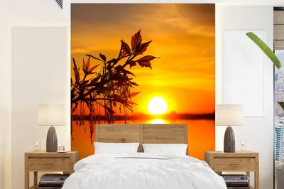 Behang - Fotobehang Zonsondergang - Water - Planten - Oranje - Breedte 160 cm x hoogte 220 cm