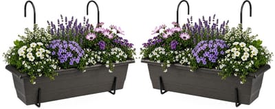 Plasticforte plantenbakken Balcony - 2x stuks - antraciet - rechthoek - met twee ophangbeugels - 50 x 18 x 15 cm - kunststof - bloembakken