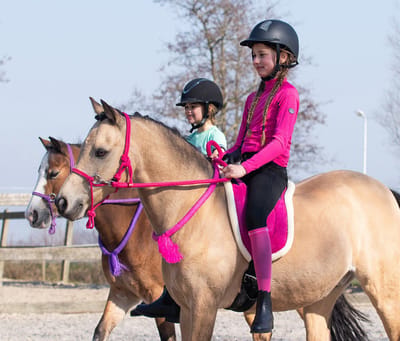 Qhp Touwhalster Met Teugels Donkerroze - pony